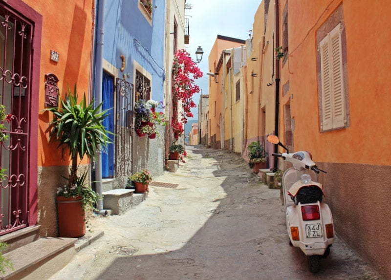 Gallery image 10